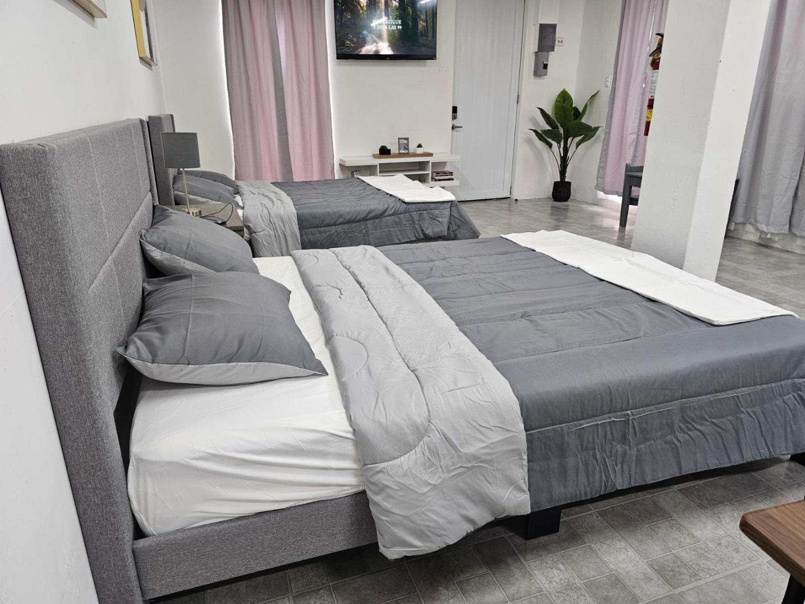 Salmos 23 Acogedor Apartamento Estudio Ceiba Buitenkant foto